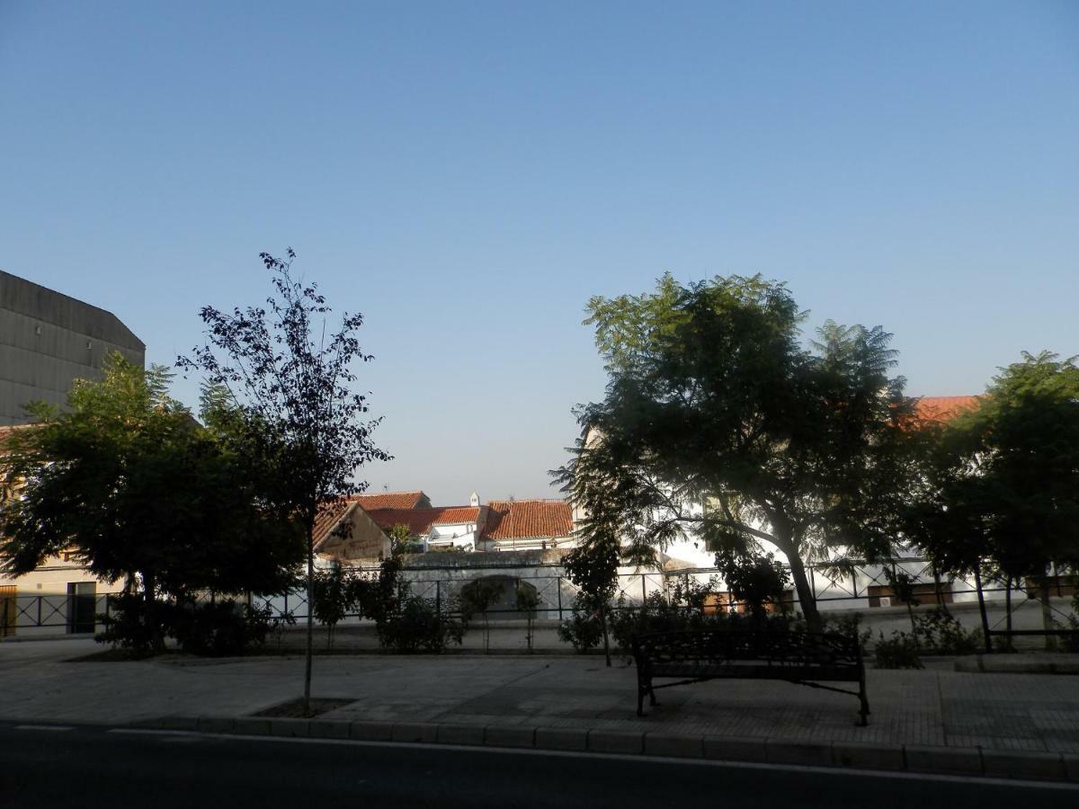 El Olivar Caces Dış mekan fotoğraf